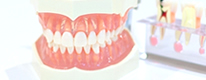 義歯治療